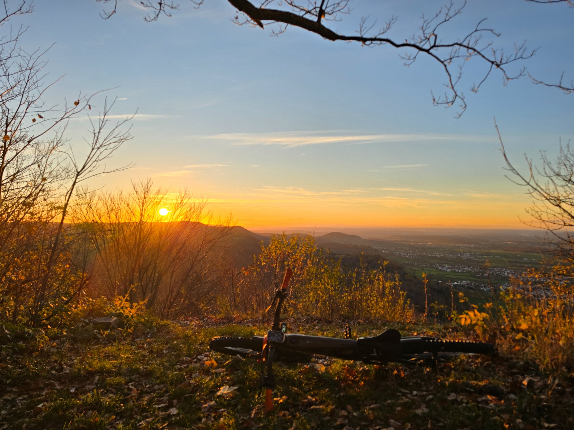 20251103_164354 (1).jpg