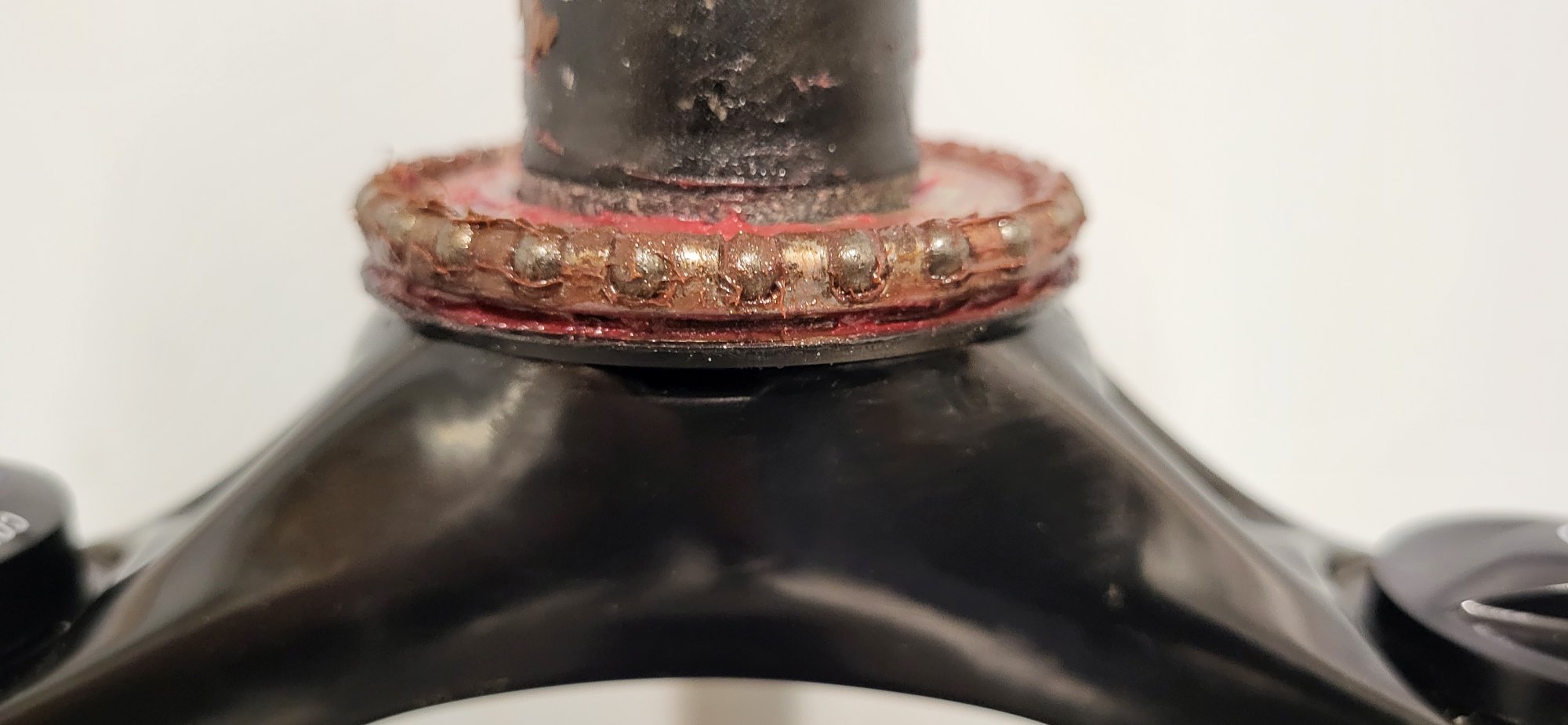 20251121_181144 (1).jpg