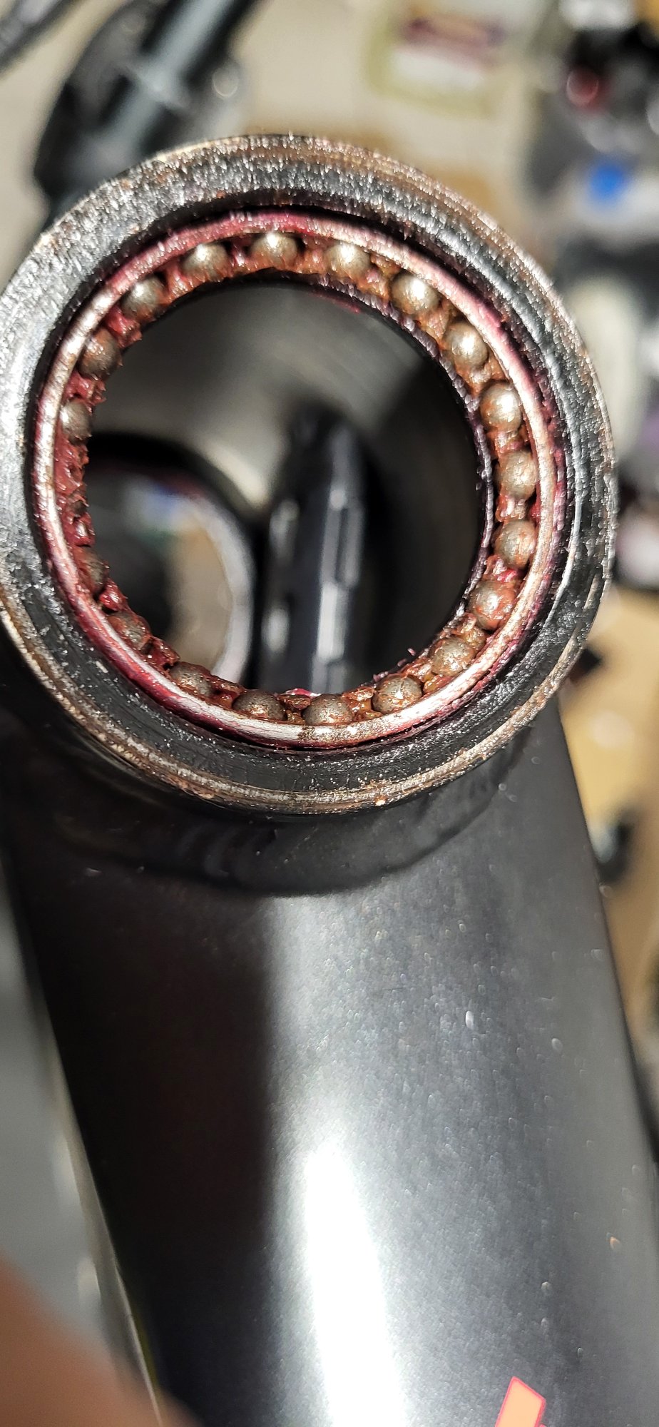 20251121_181220 (1).jpg