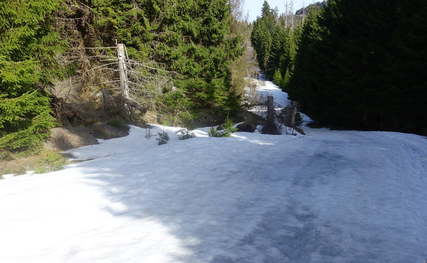 2026-03-07_153929.JPG