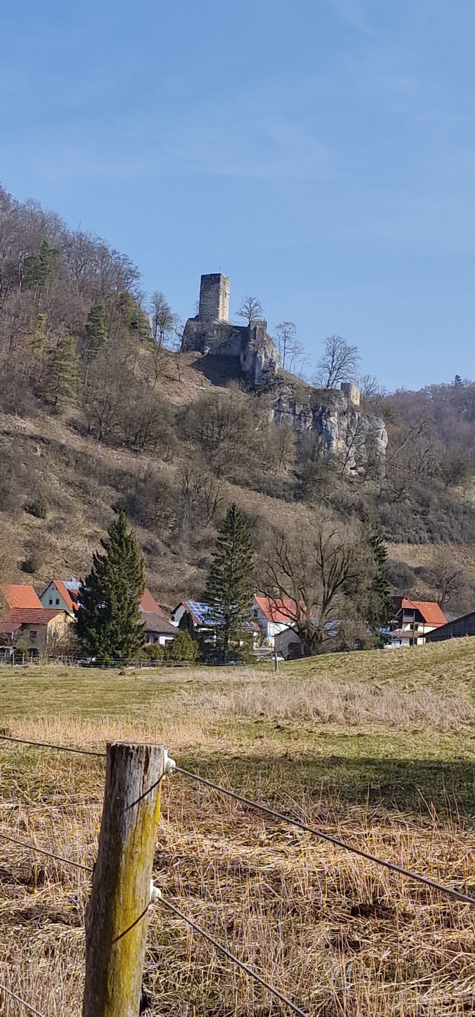 20260308_115710.jpg