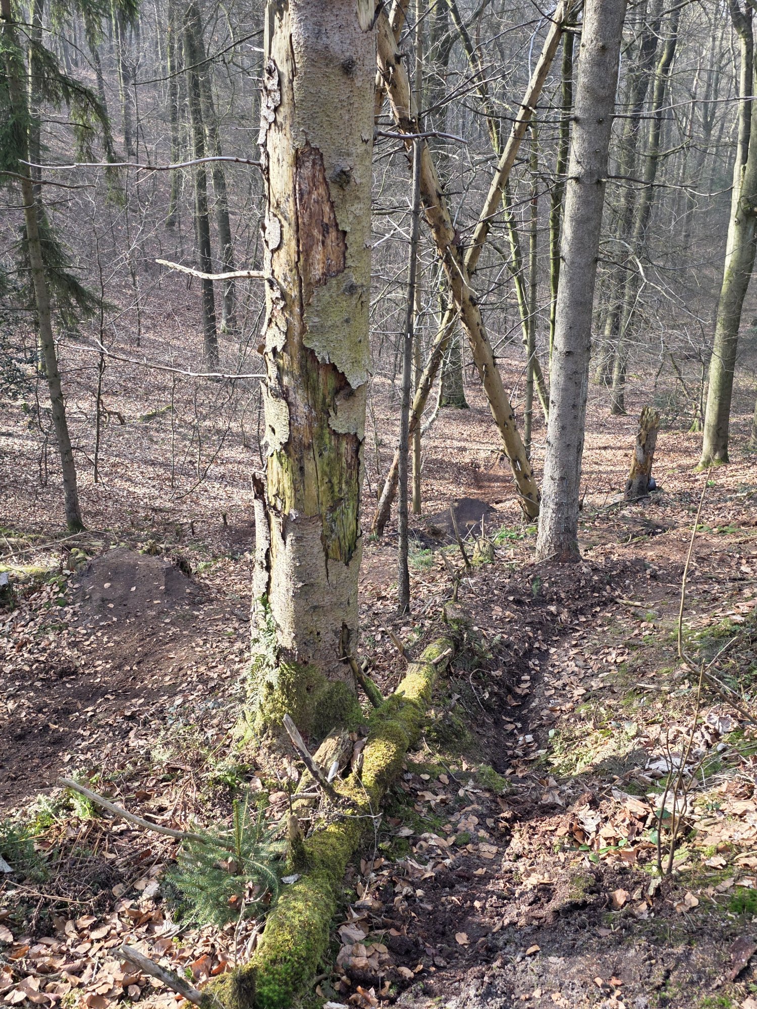 20260308_144717.jpg