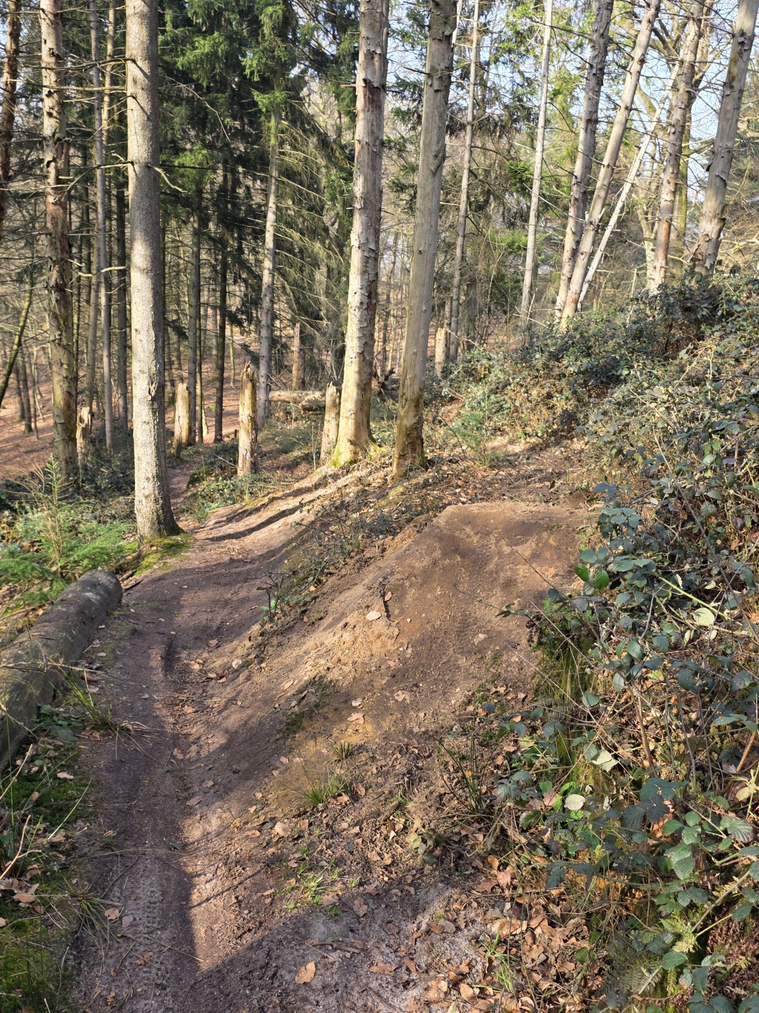 20260308_144723.jpg