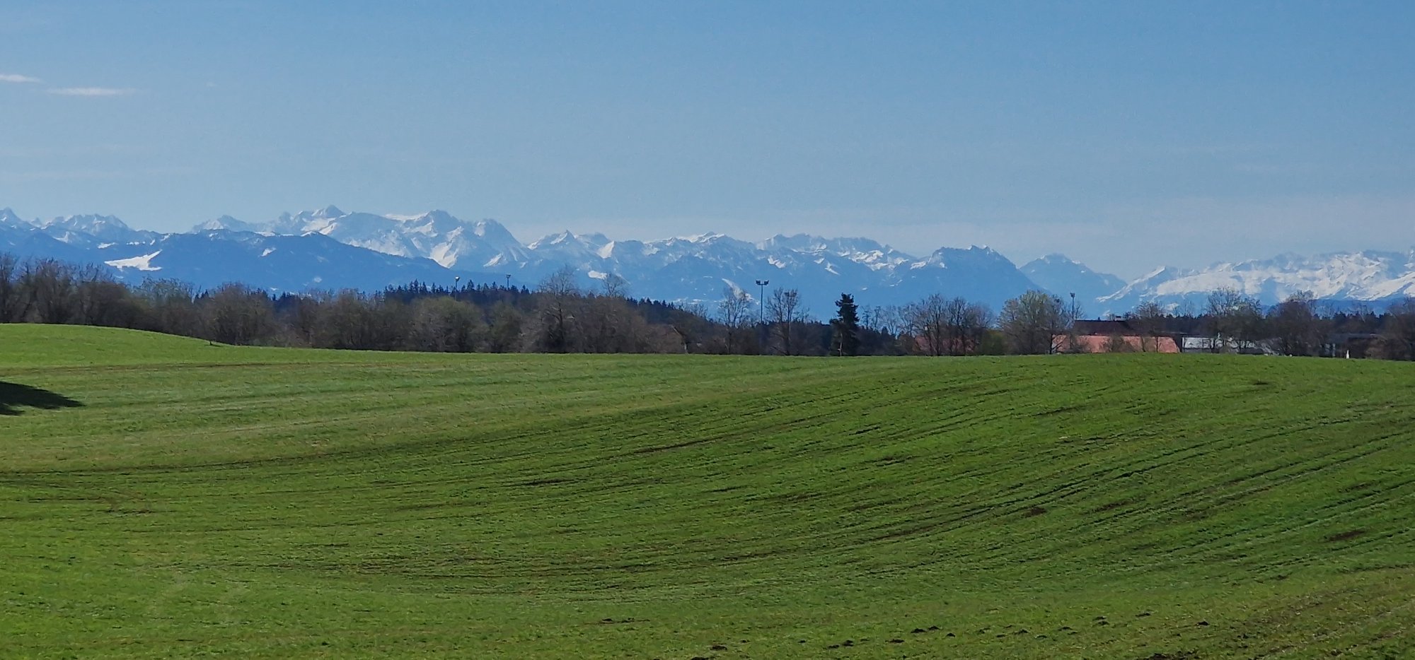 20260405_111243.jpg