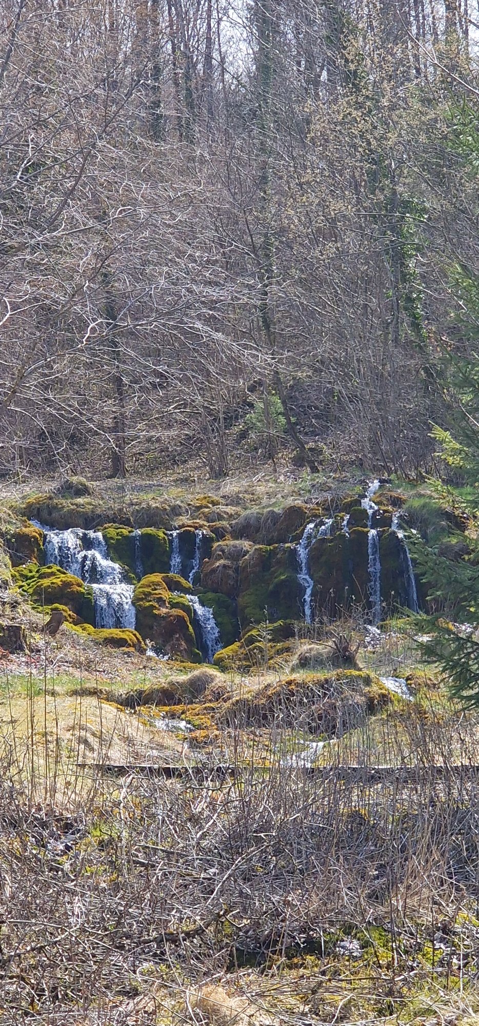 20260405_132410.jpg
