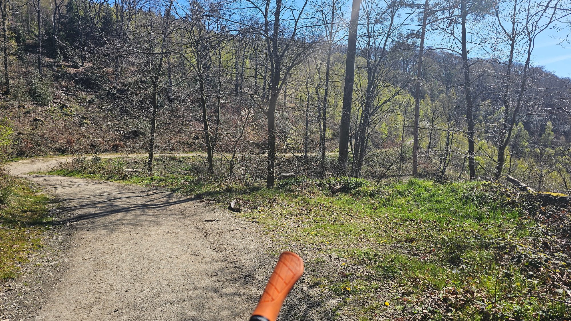 20260407_134148.jpg