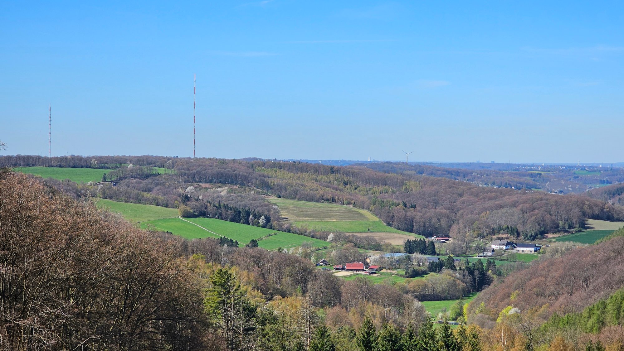 20260407_141243.jpg