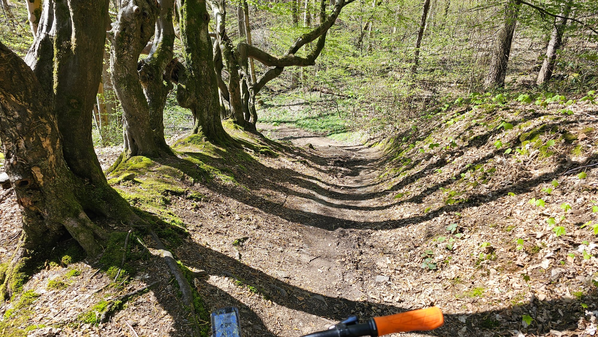20260407_144420.jpg