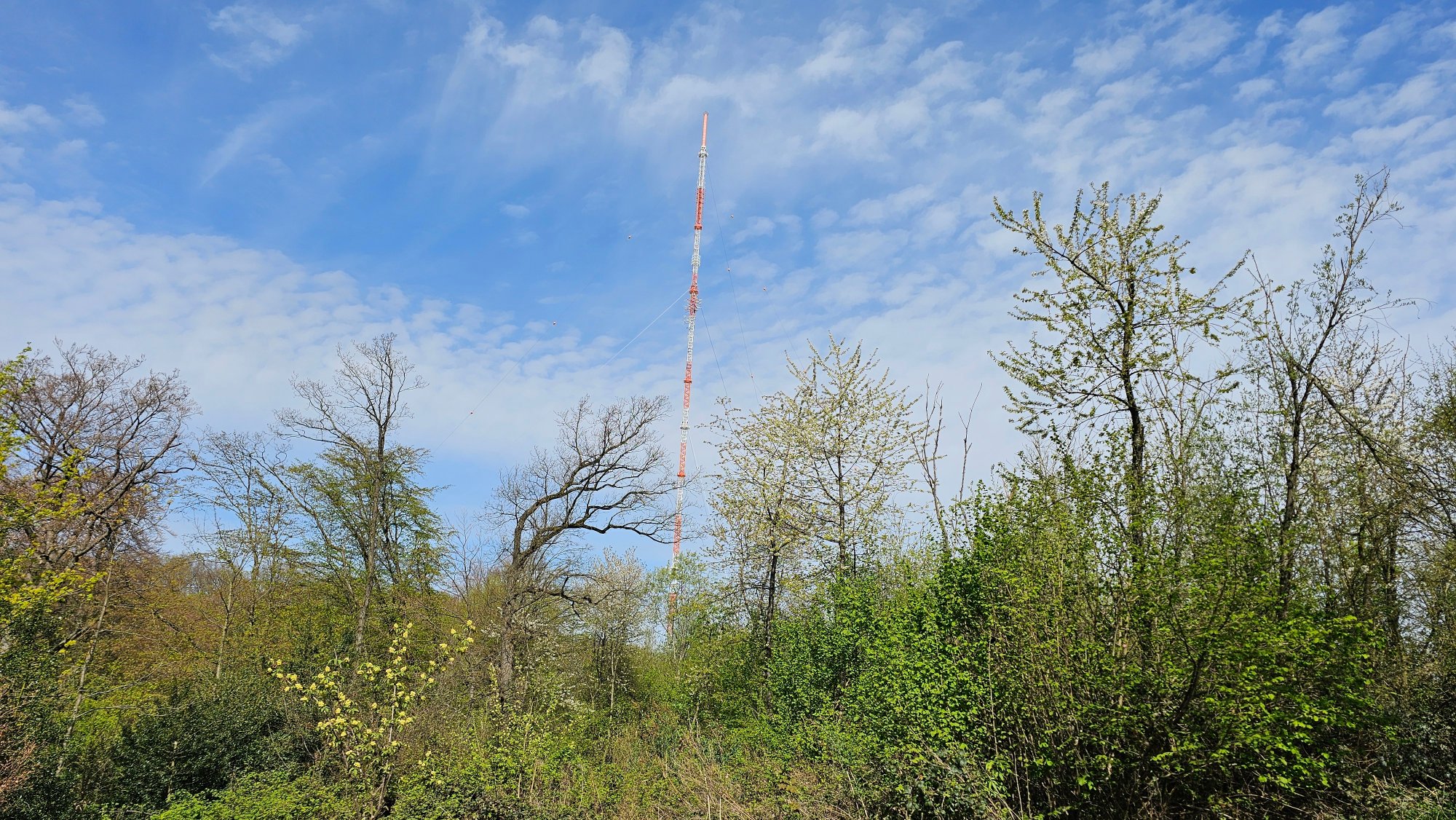 20260409_124556.jpg