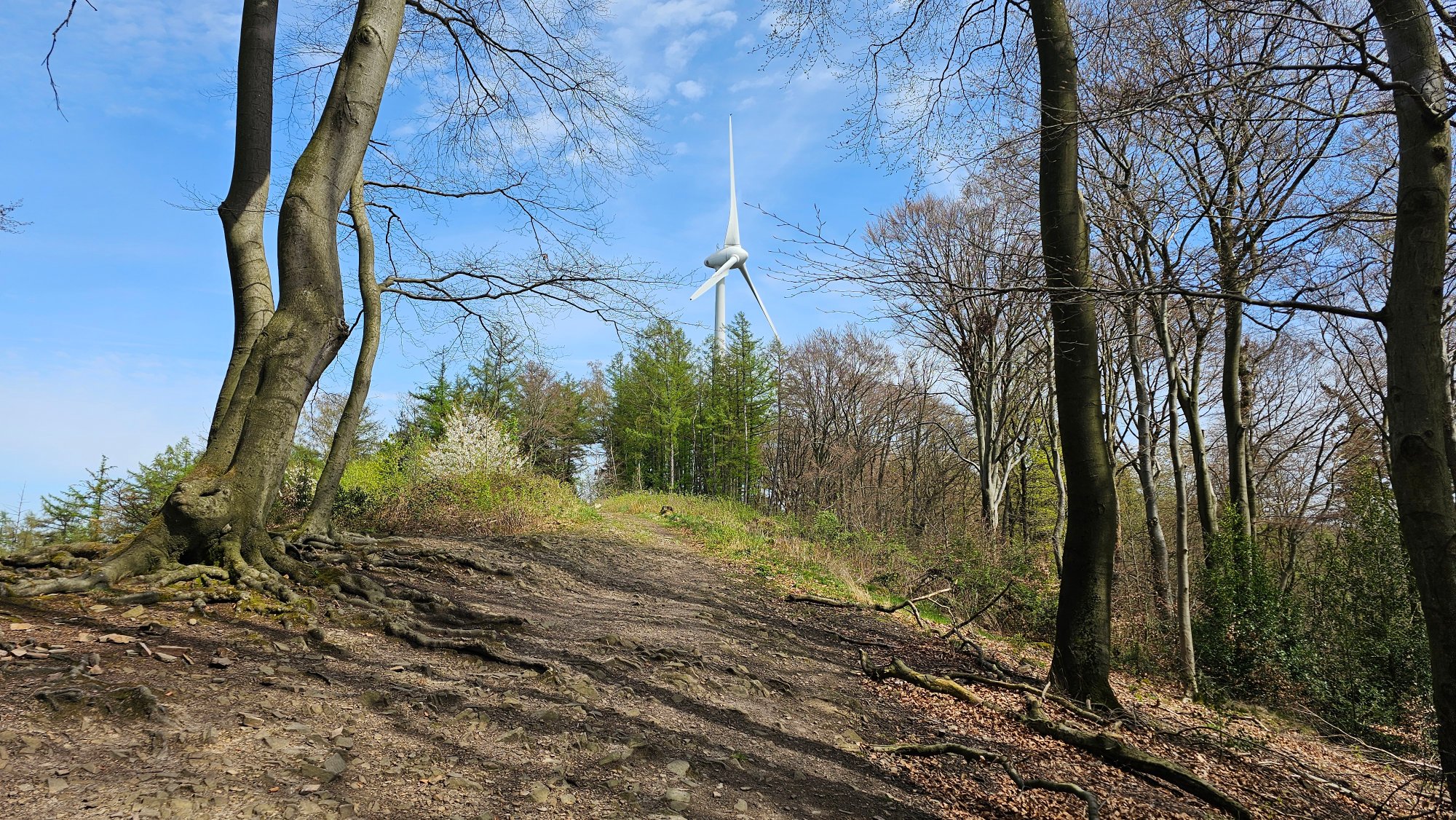 20260409_133806.jpg