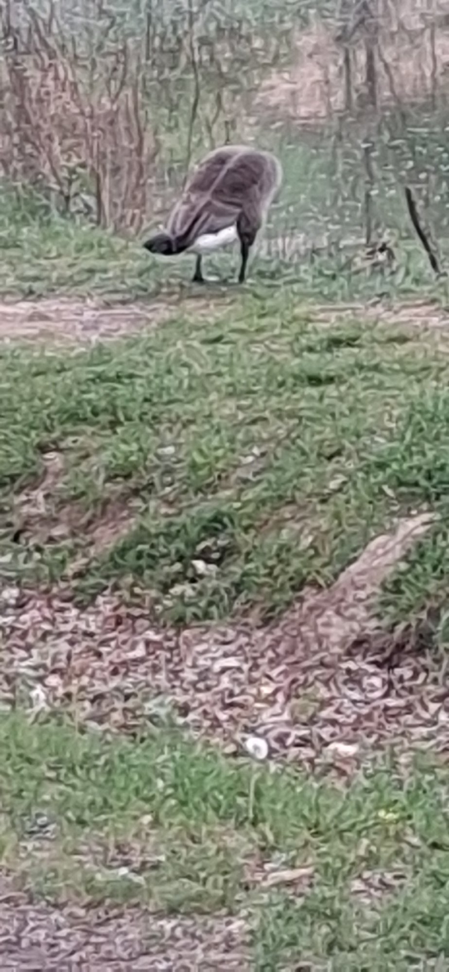 20260417_161420.jpg