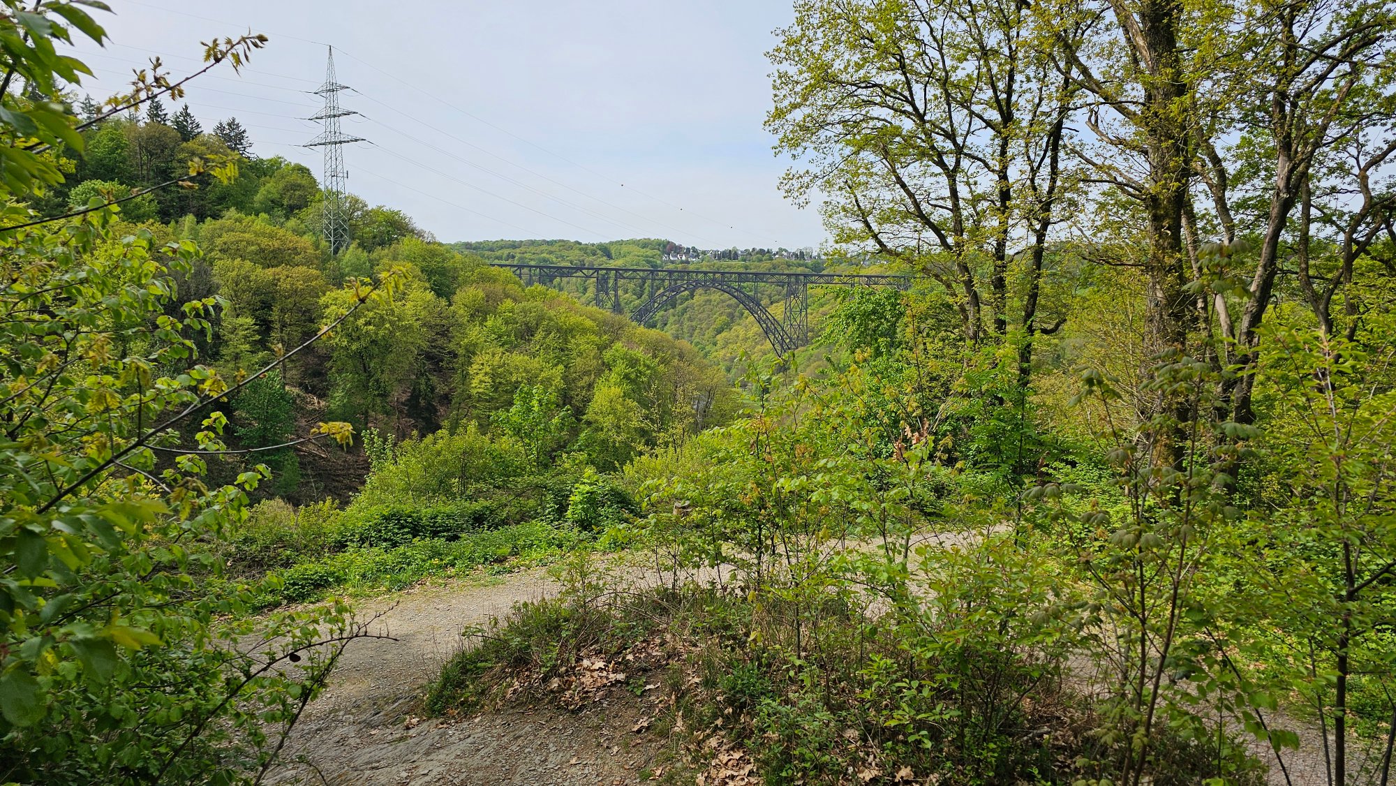 20260427_114818.jpg