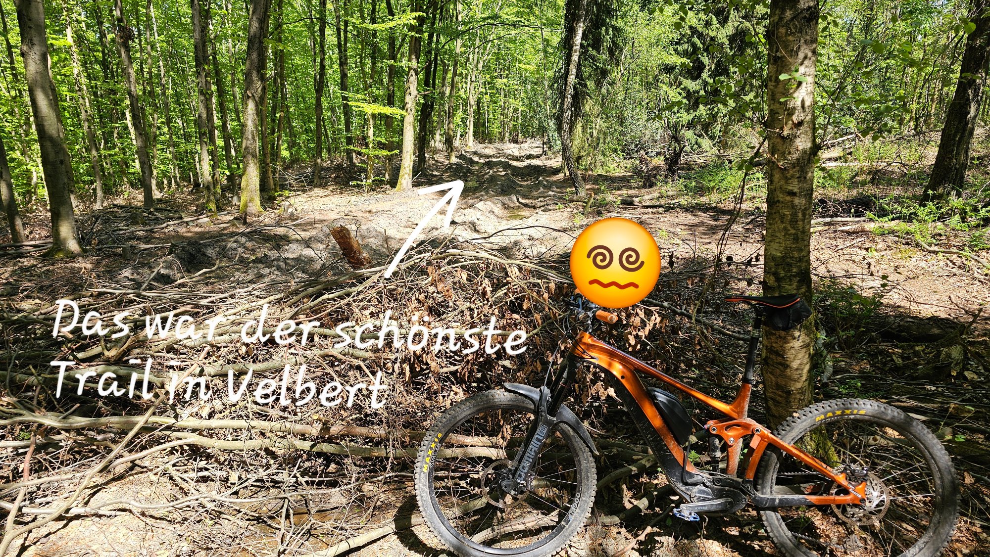 20260501_135922.jpg
