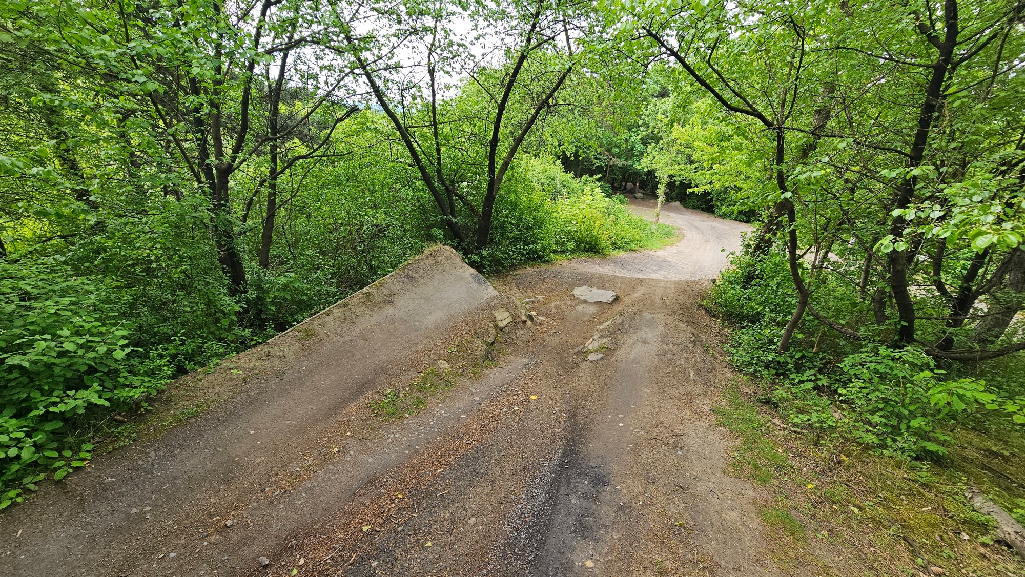 20260504_103043.jpg
