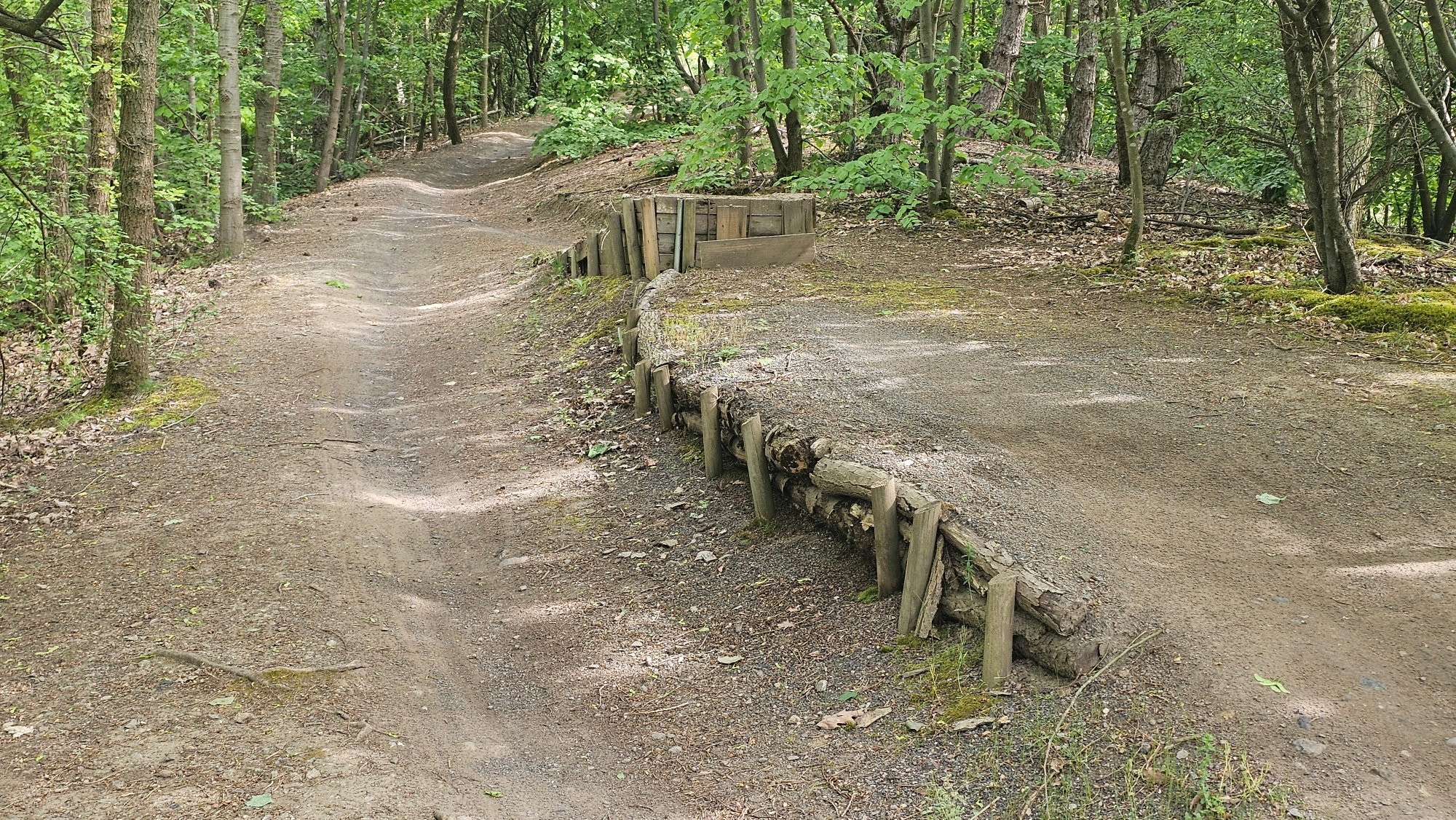 20260504_103459.jpg