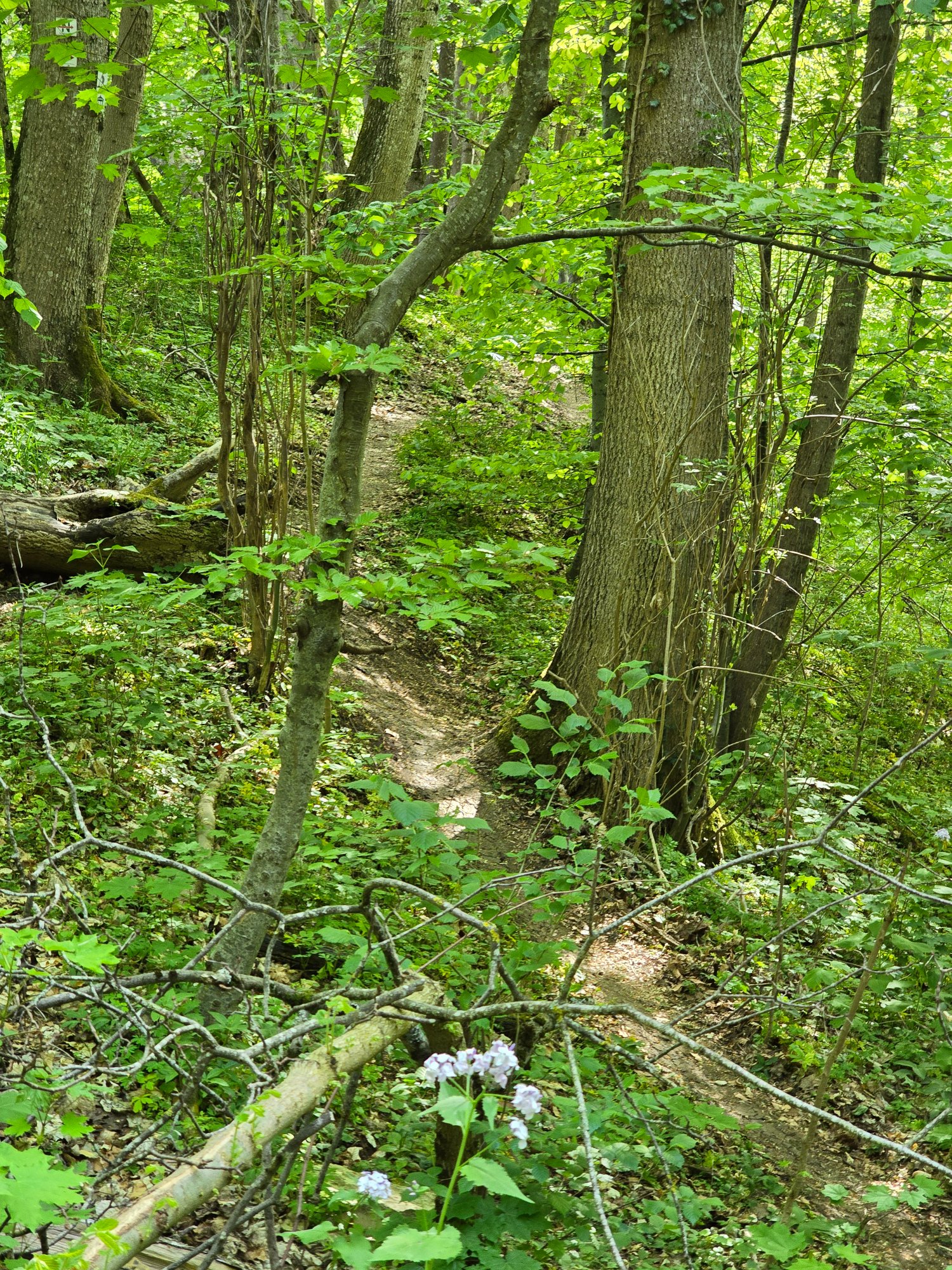 20260504_161528.jpg