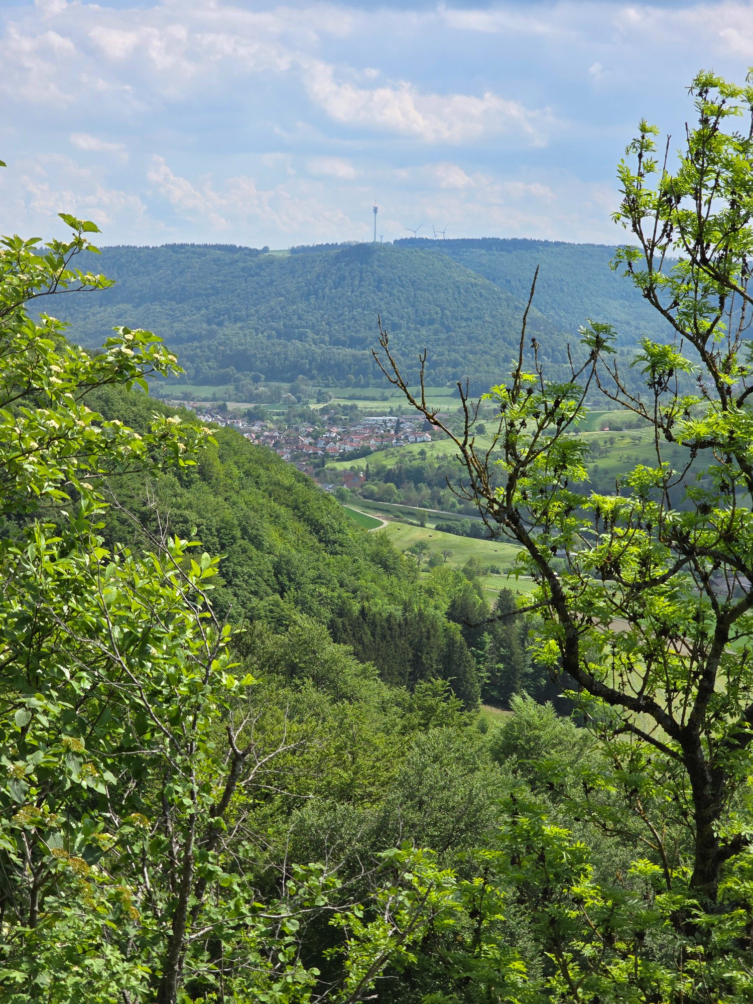 20260509_145148.jpg