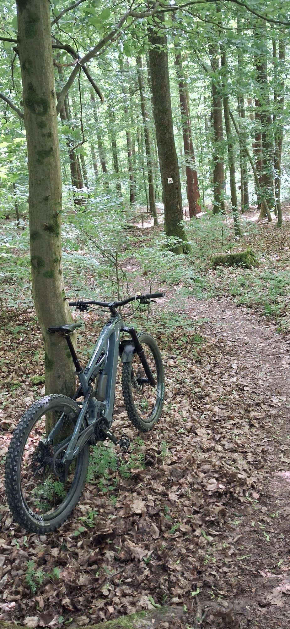 20260517_145614.jpg