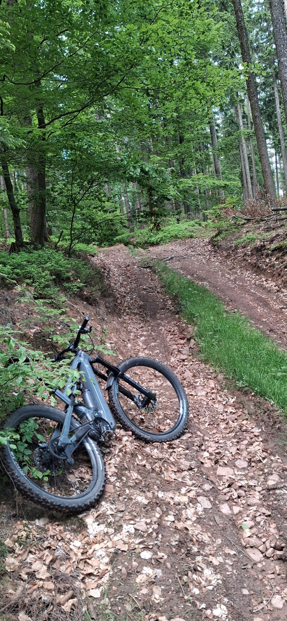 20260517_154434.jpg