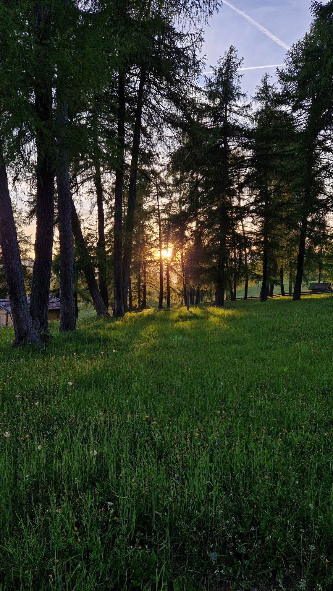 20260521_202321.jpg