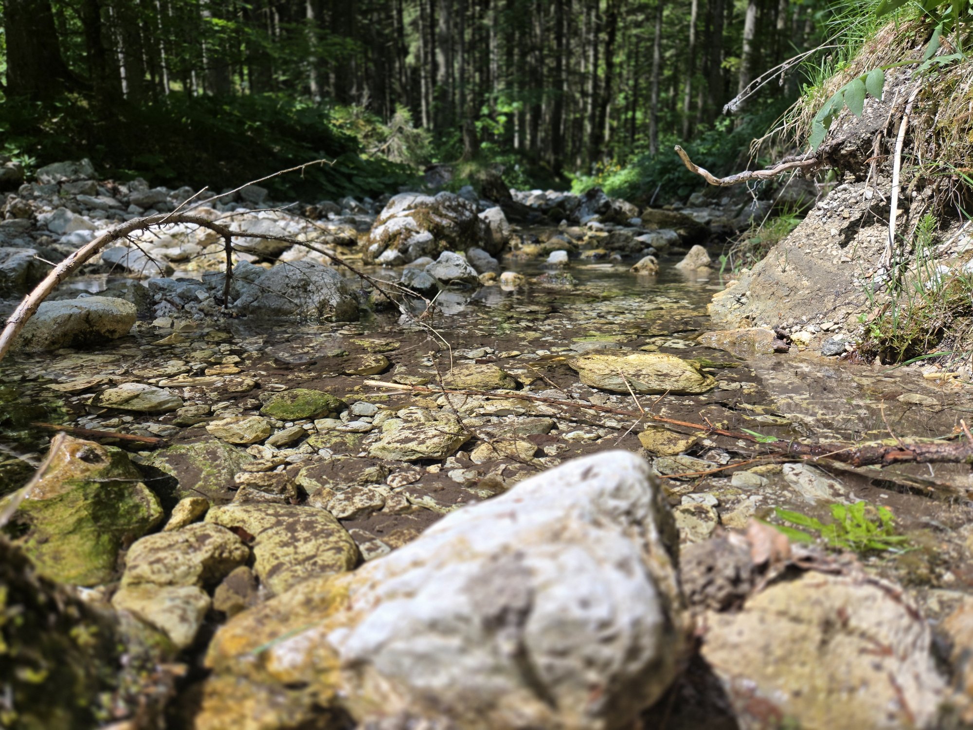 20260524_114250.jpg
