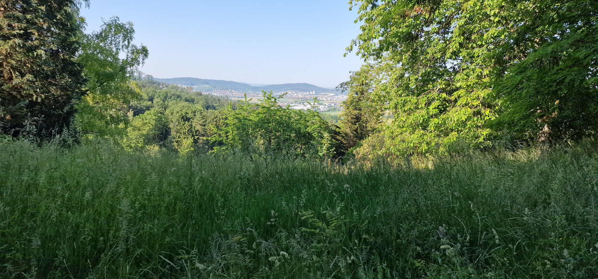 20260525_083816.jpg