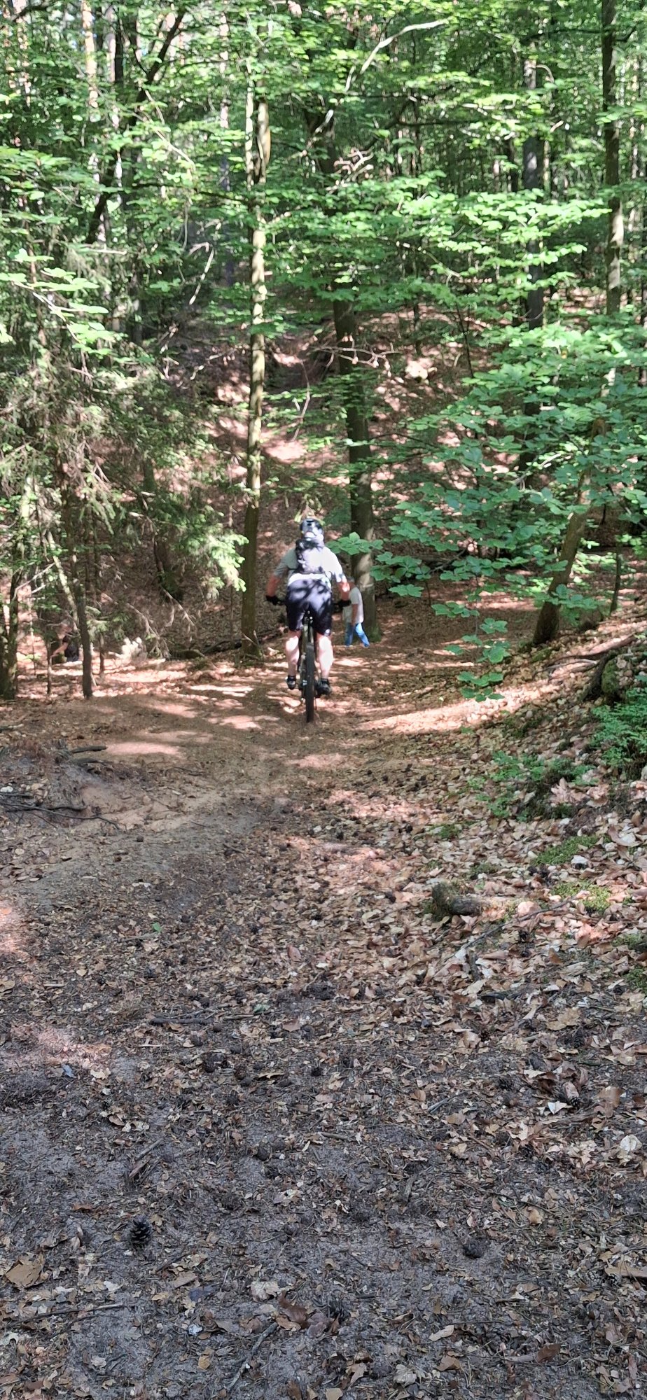 20260525_095400.jpg