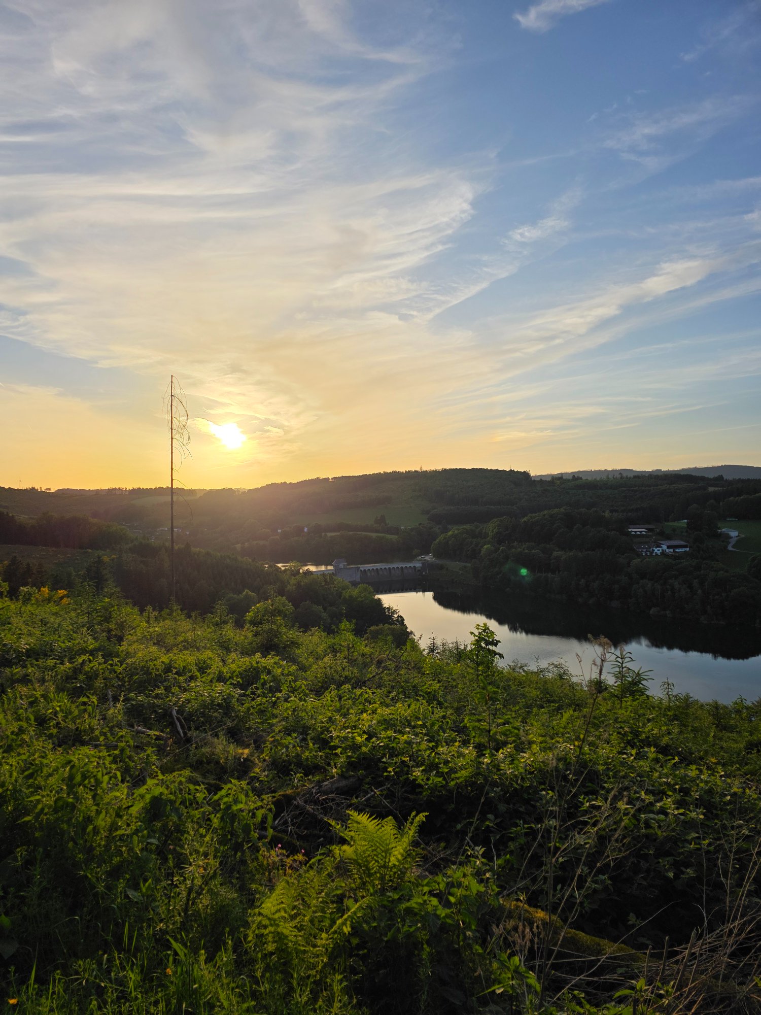 20260527_204047.jpg