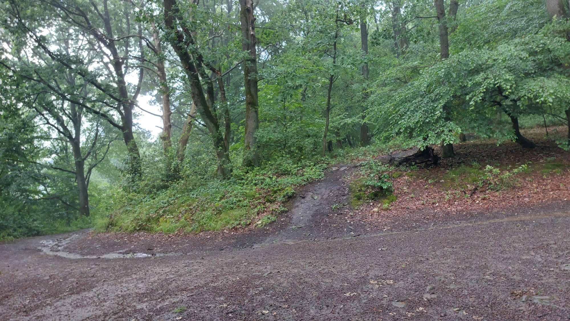 20260531_081806.jpg