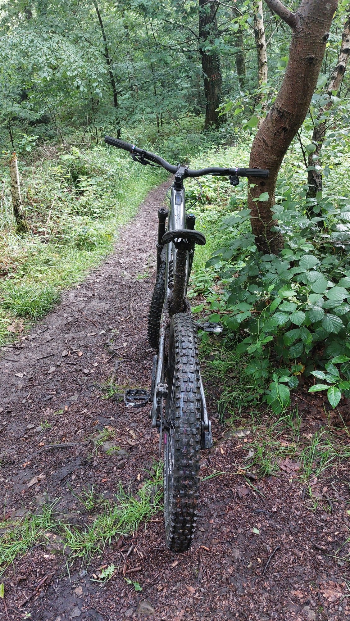 20260604_093112.jpg