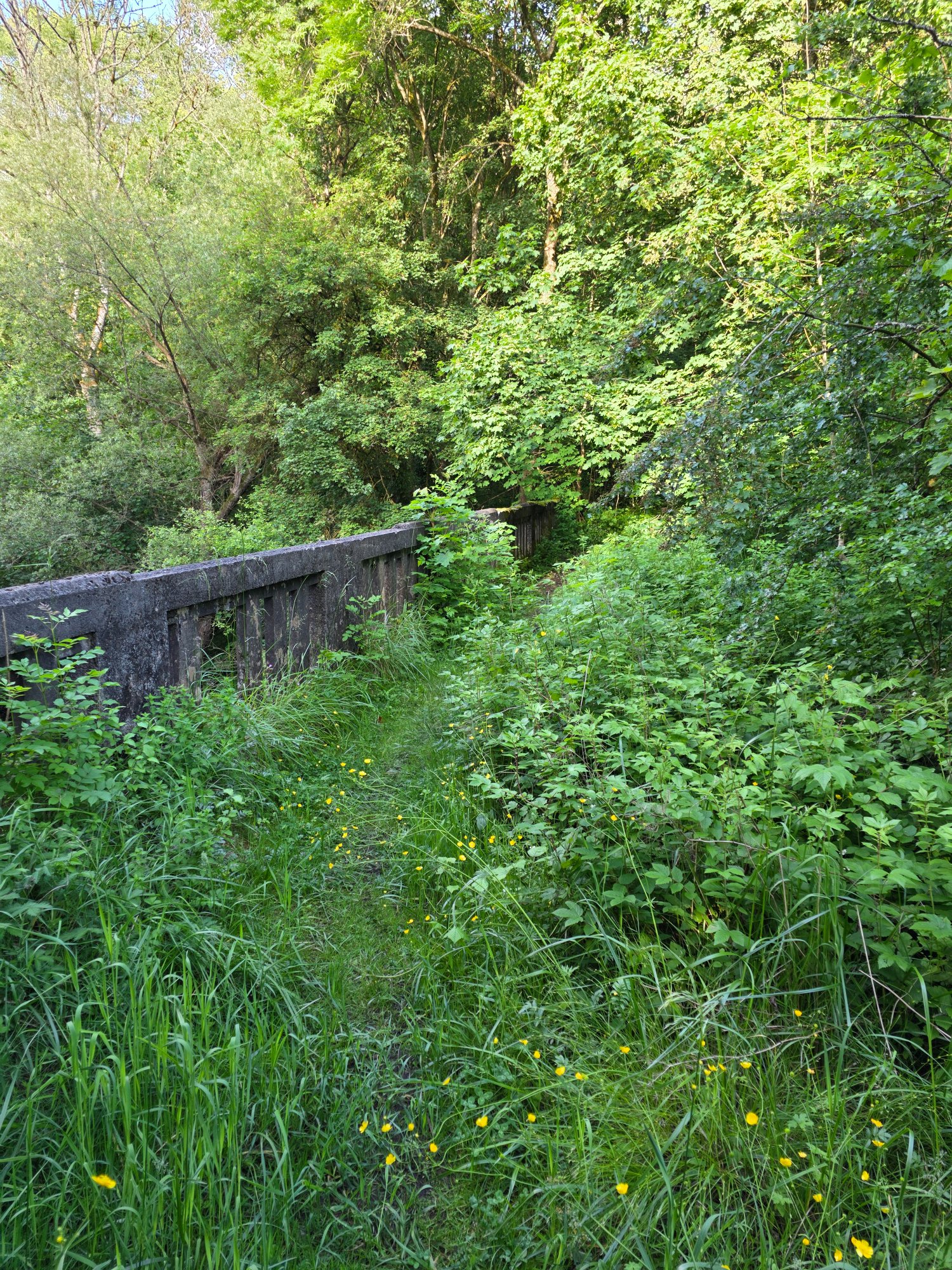 20260605_184148.jpg