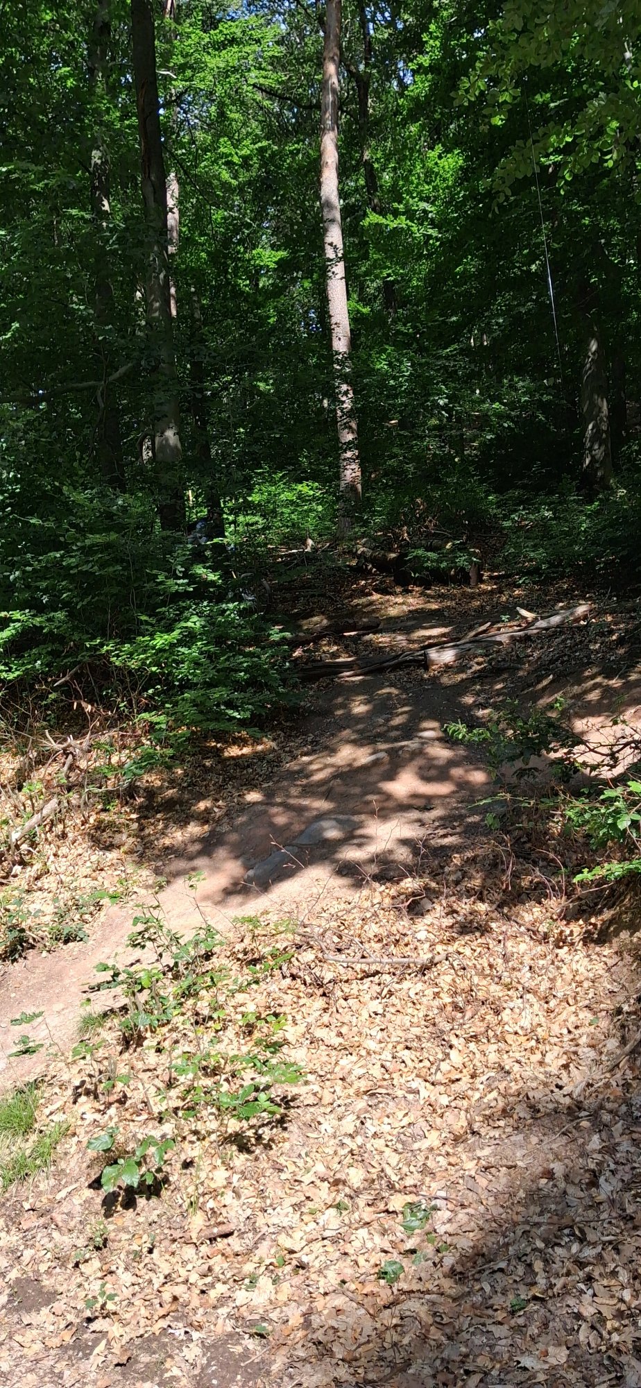 20260607_102623.jpg