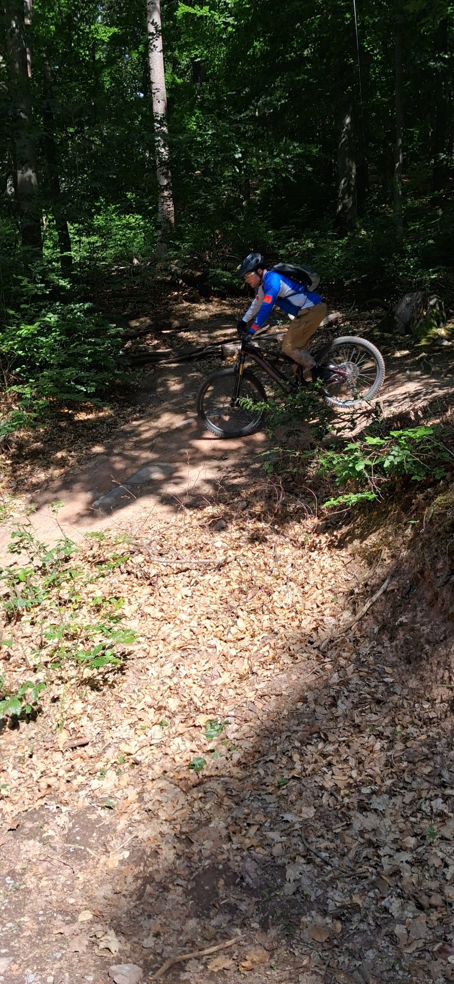 20260607_102631.jpg