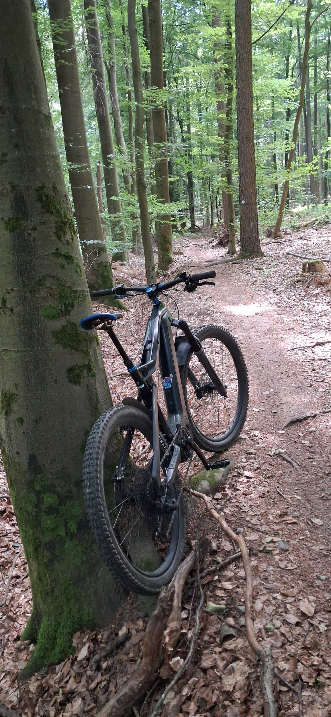 20260621_110055.jpg