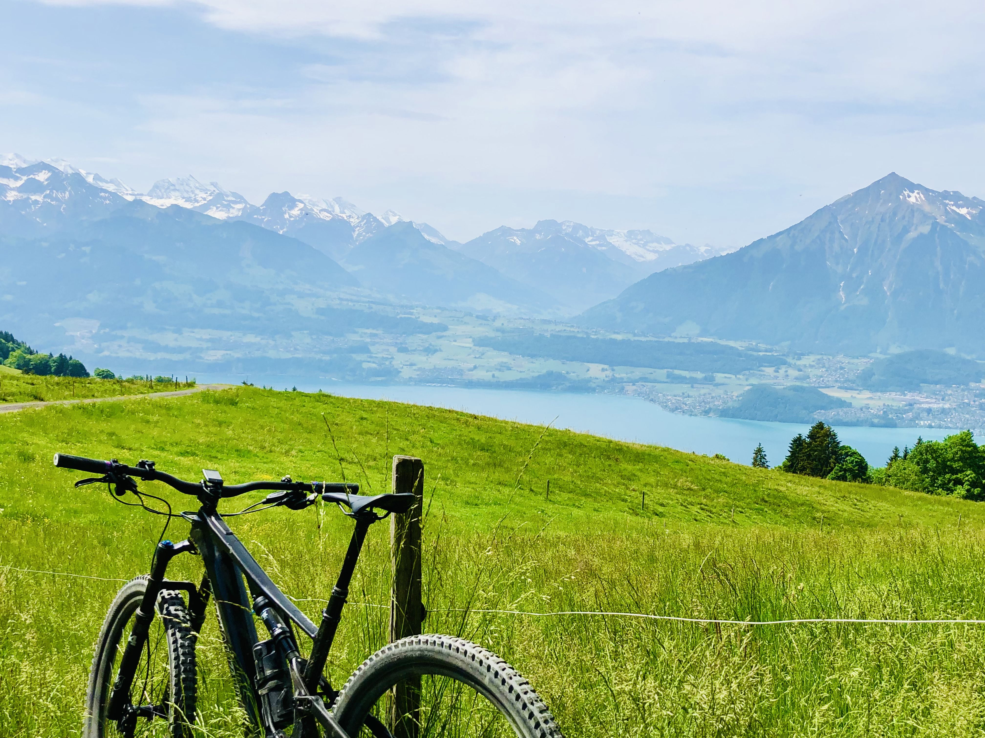 23D660EC-8E07-44E0-B2F1-7AB255A7D455.jpeg