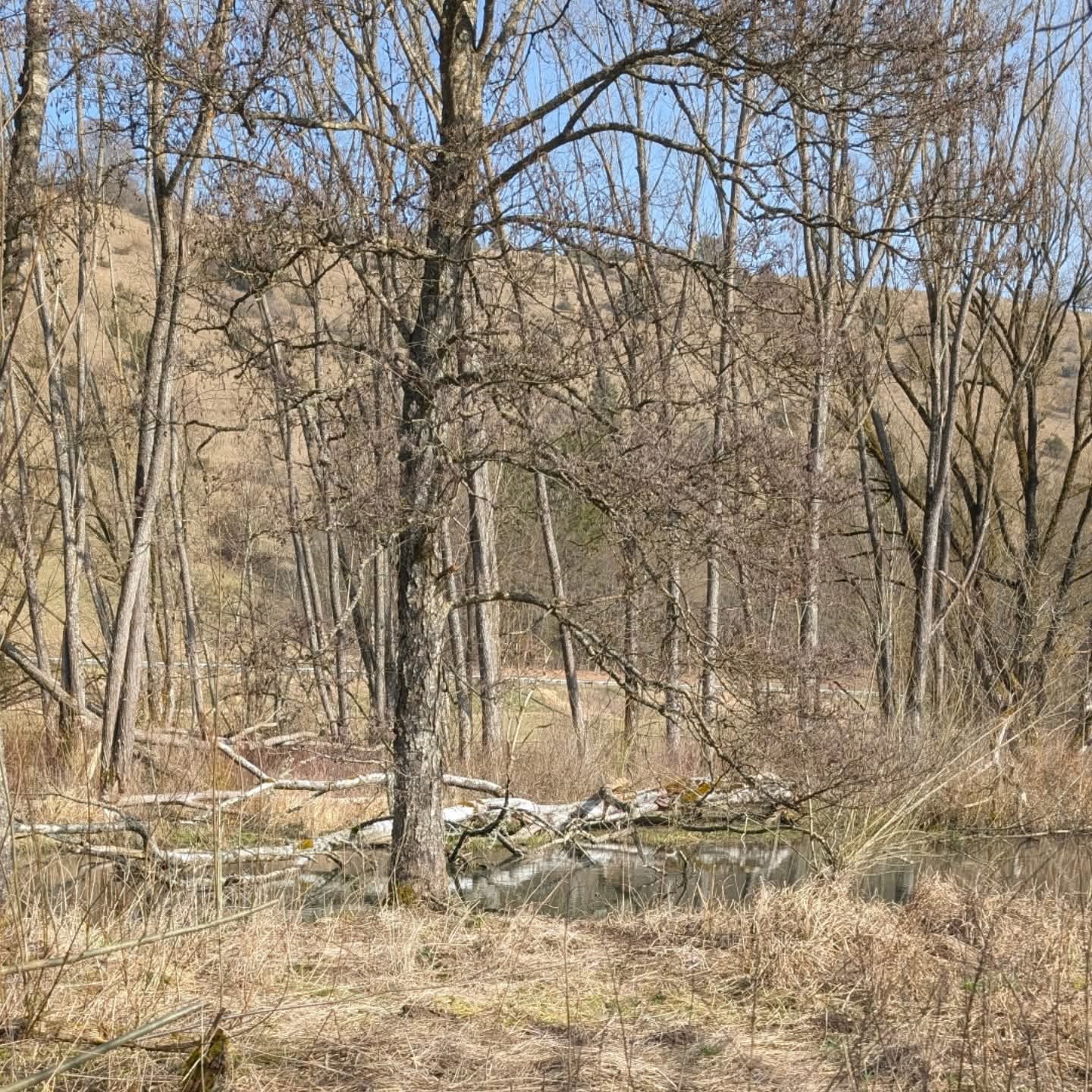2552.jpg