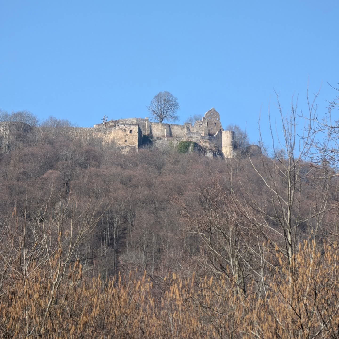 2561.jpg