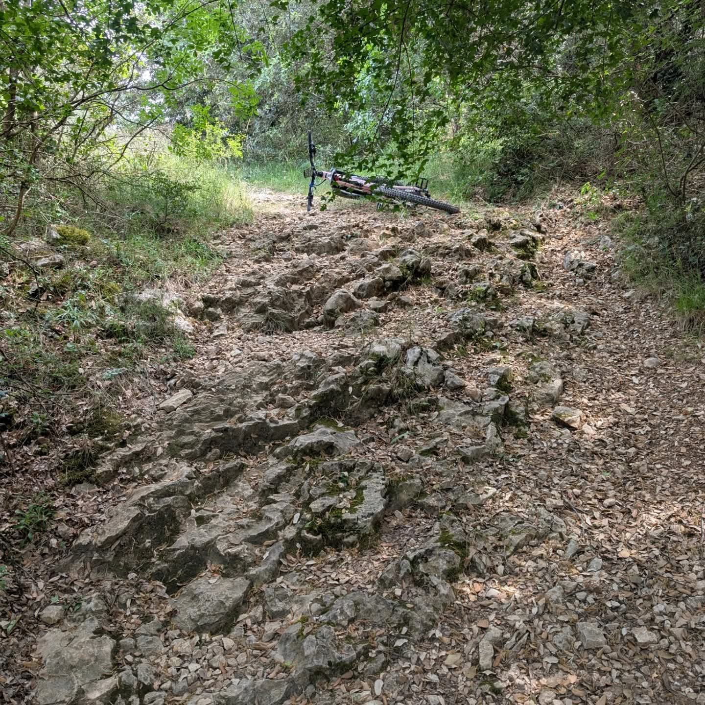 2900.jpg