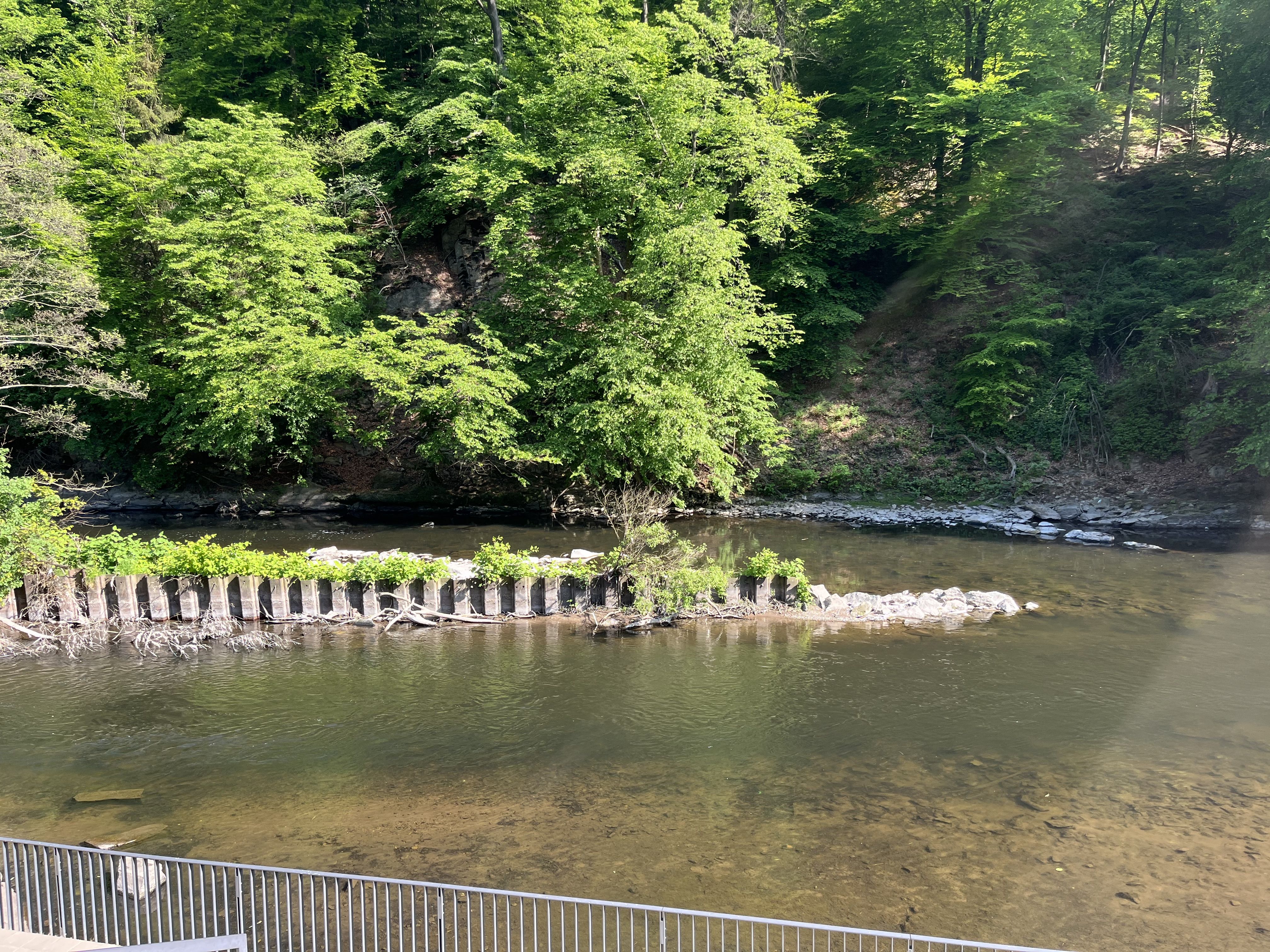 2CB1F975-BD6D-4115-B0AD-6A605B268E34.jpeg