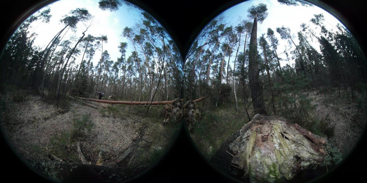 360degree.jpg