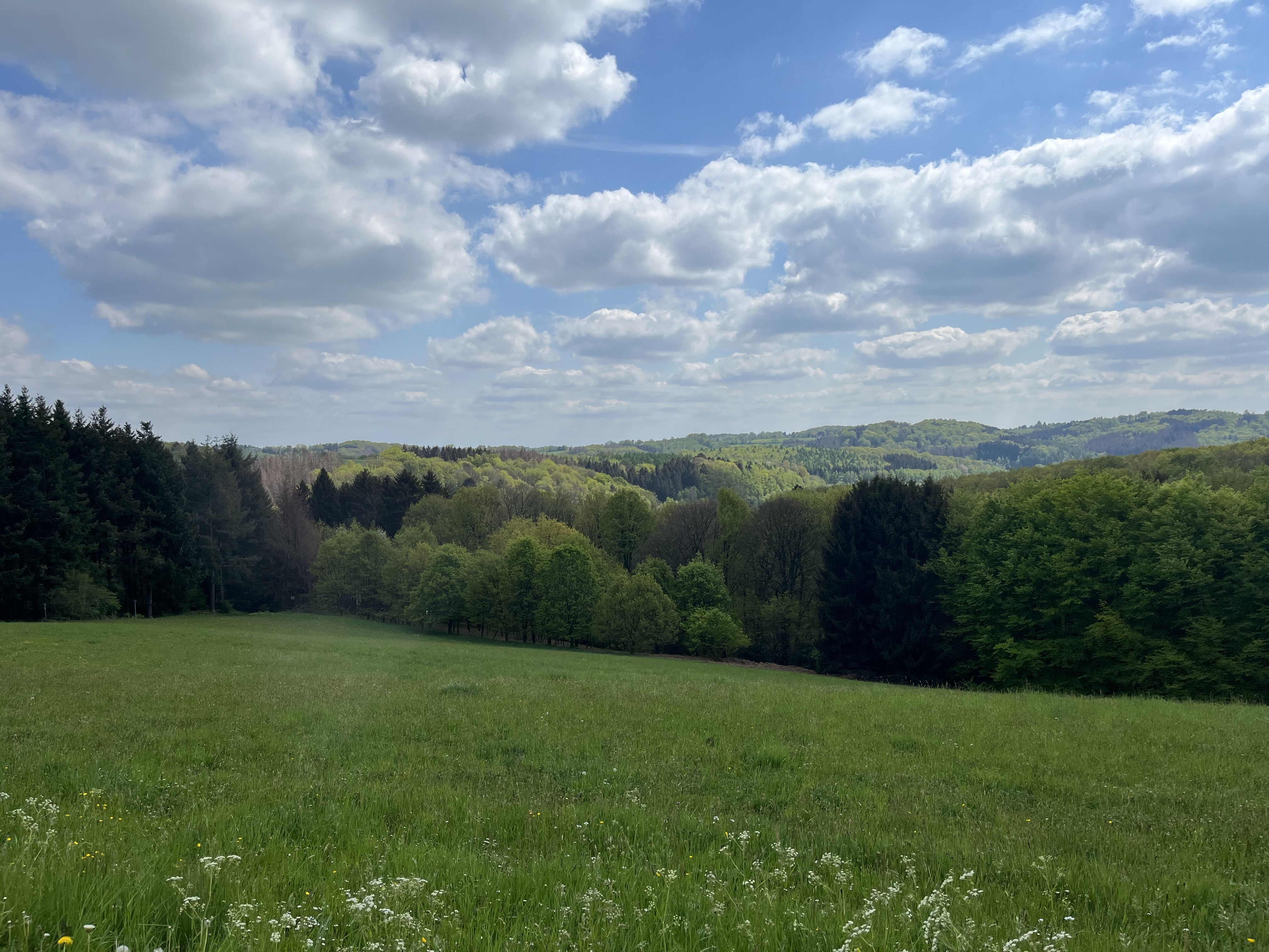 38714AAA-7759-43C6-9517-E9196C429220.jpeg