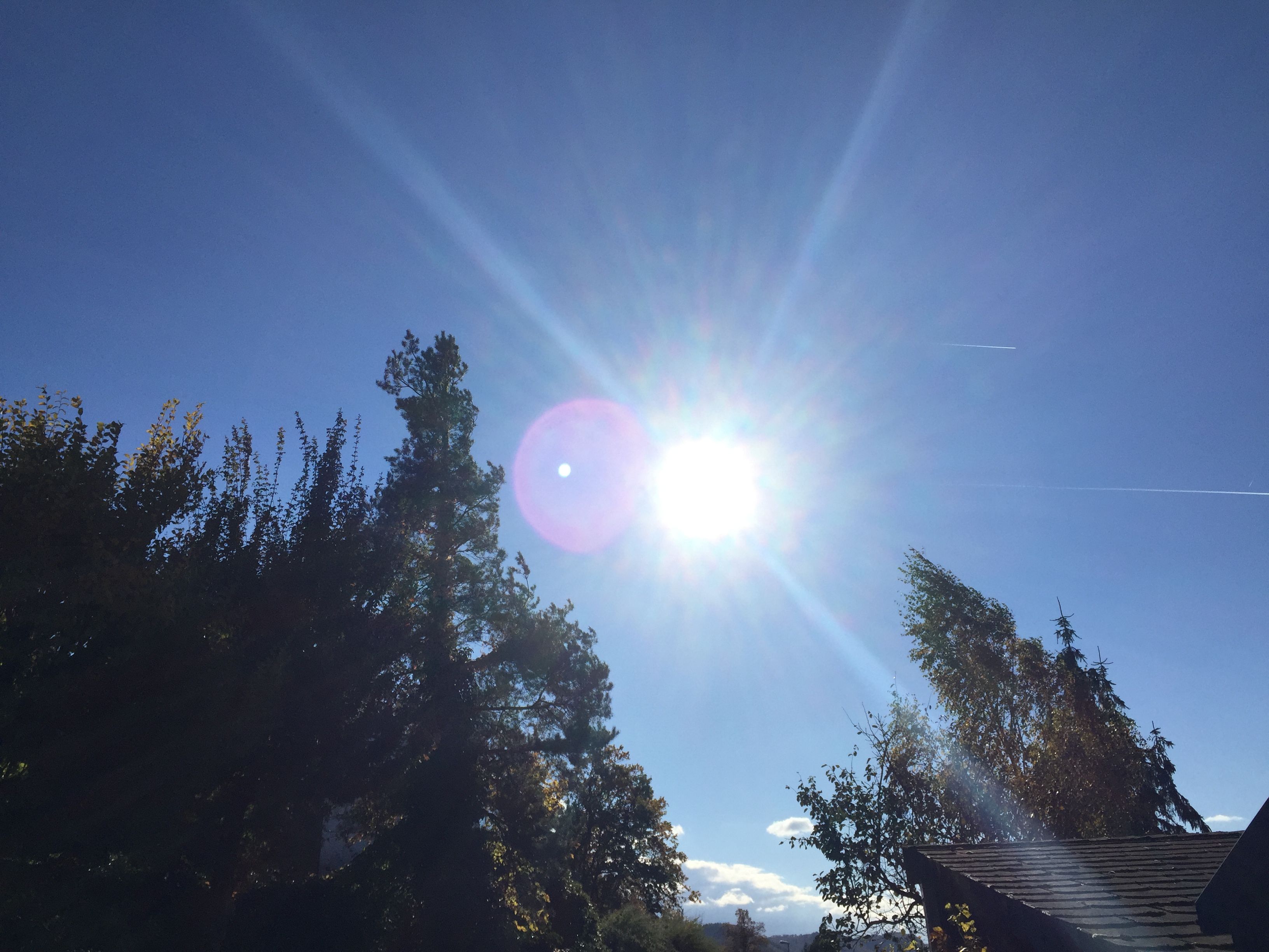43BB89CA-AB22-4EB7-820D-6FD5D92A2F0B.jpeg