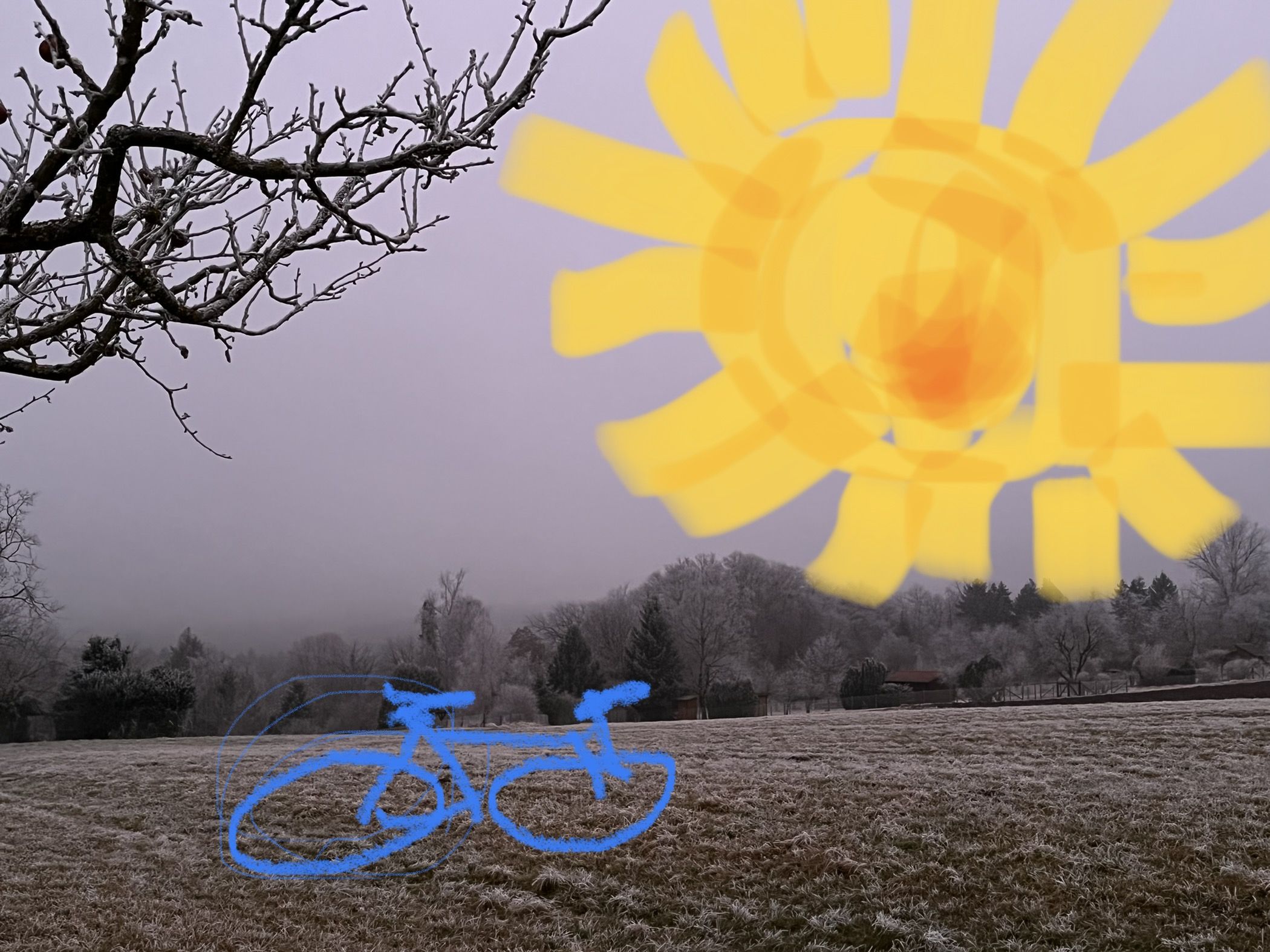 4450ECB5-2AEA-4923-904D-868C1AE43064.jpeg