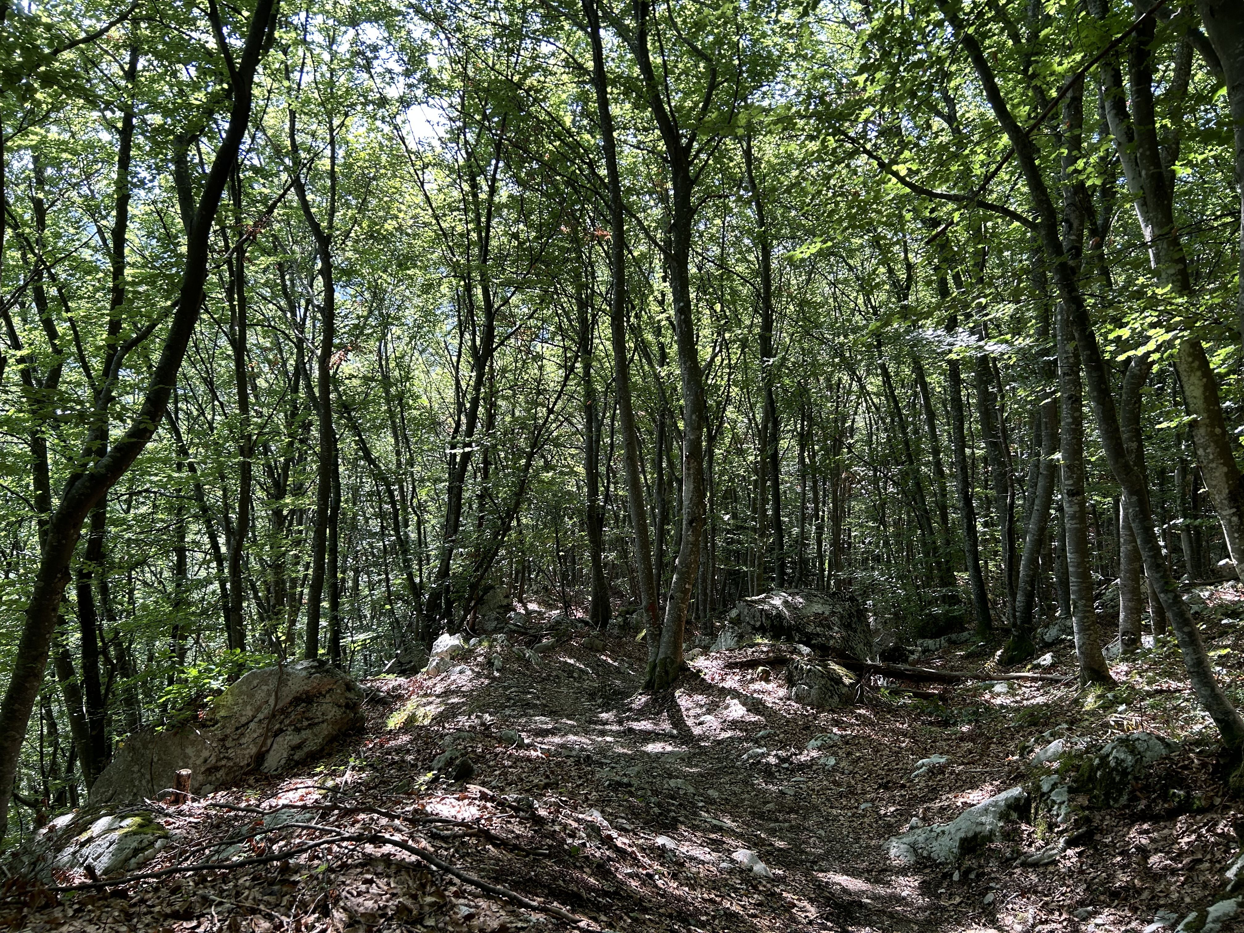 5. Etappe - Coole Trails.JPG