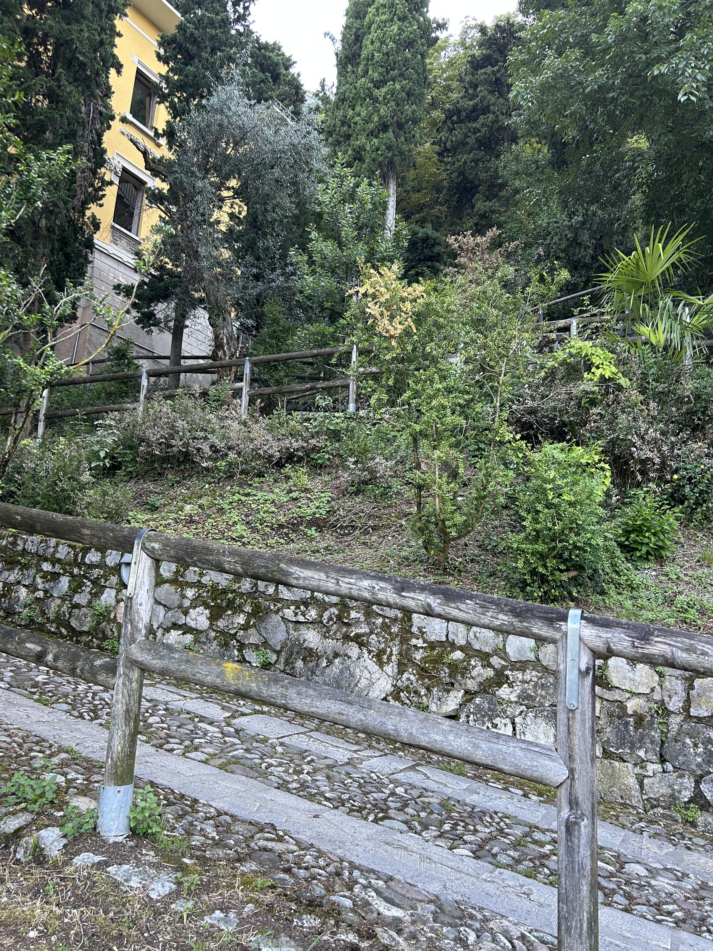 5. Etappe - Serpentinen.JPG