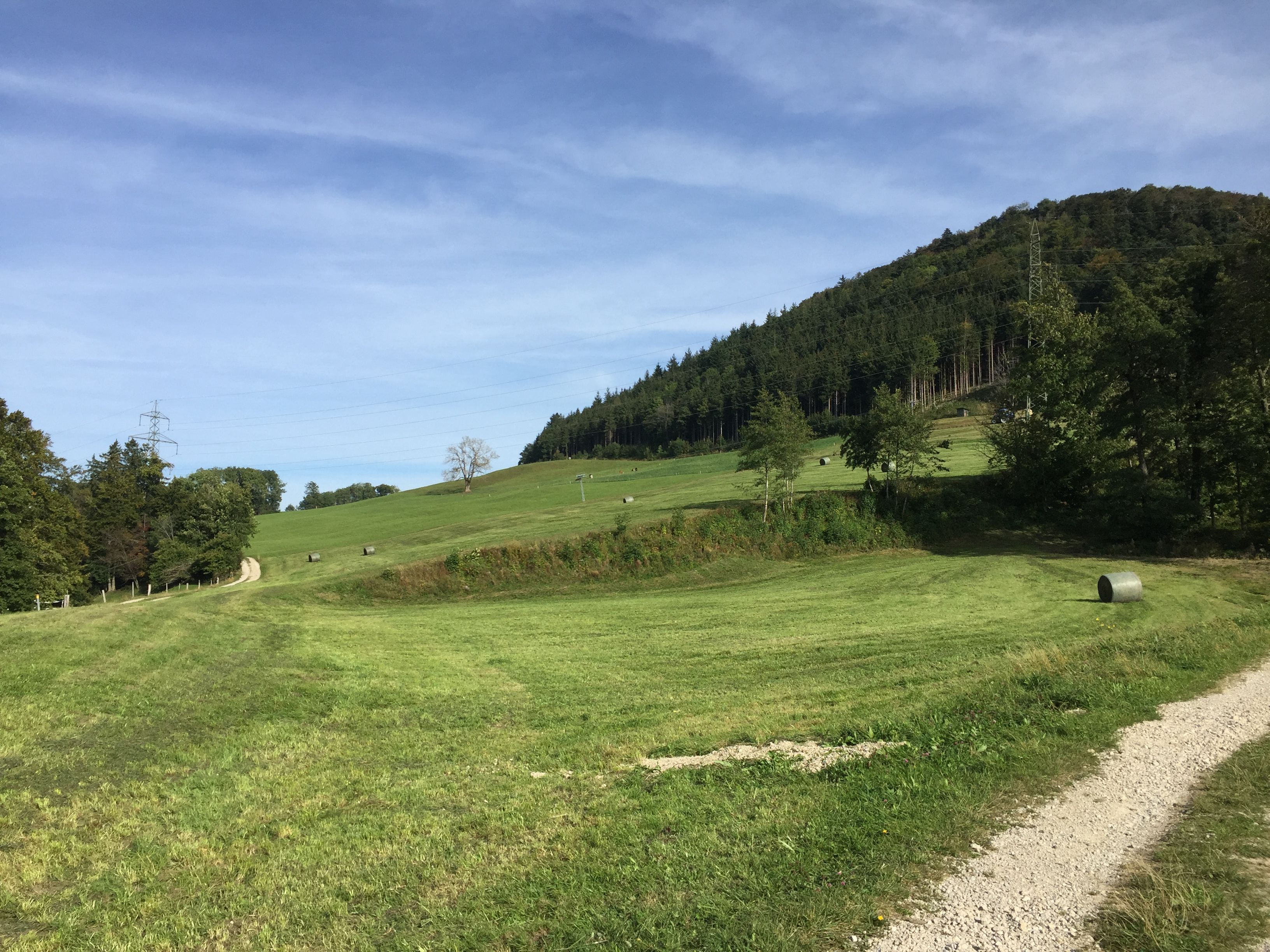 6D60AFBC-B243-4039-9FD8-616ED9F77AAD.jpeg