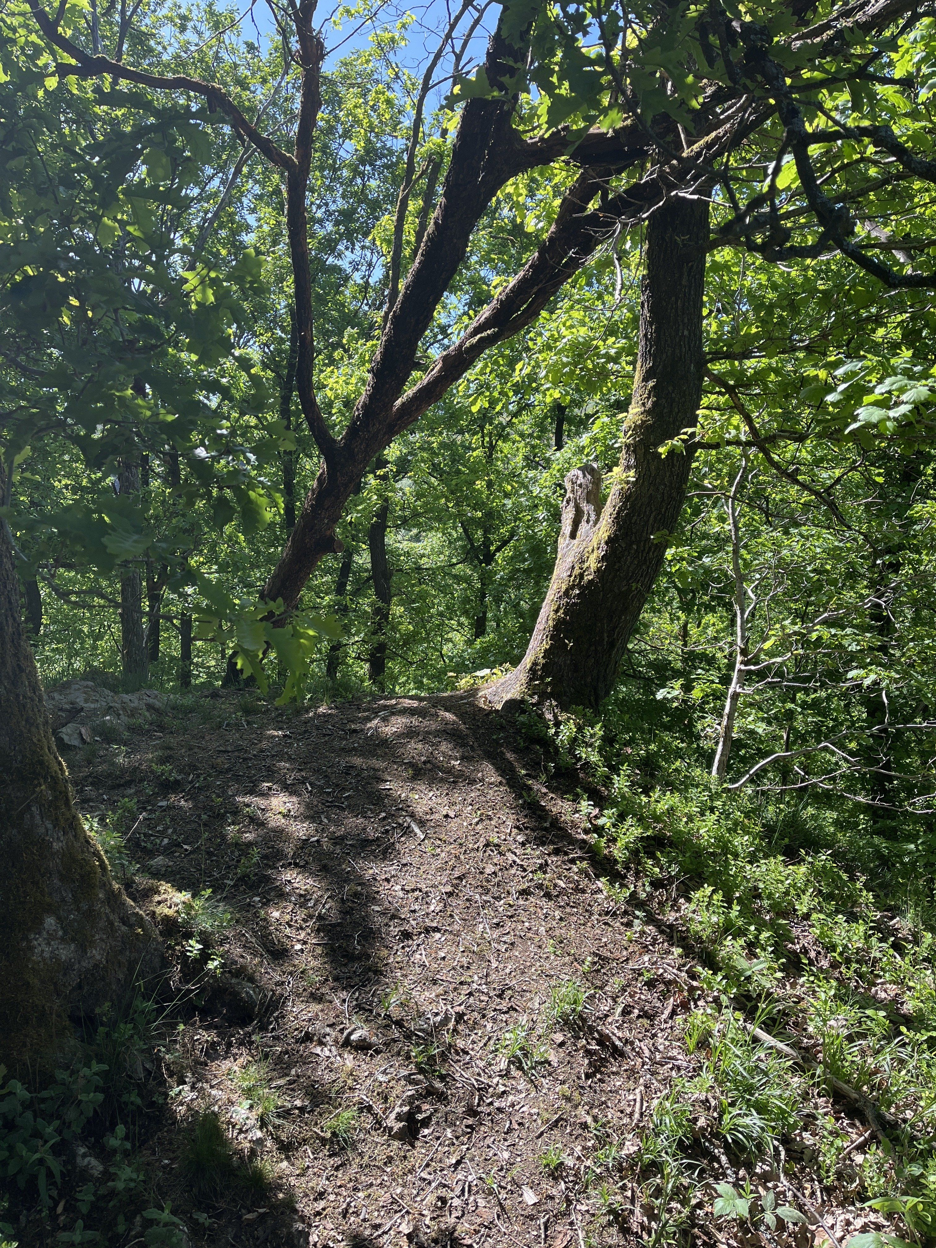 6F0C9577-BC6D-43F0-93AC-9C60511682D4.jpeg