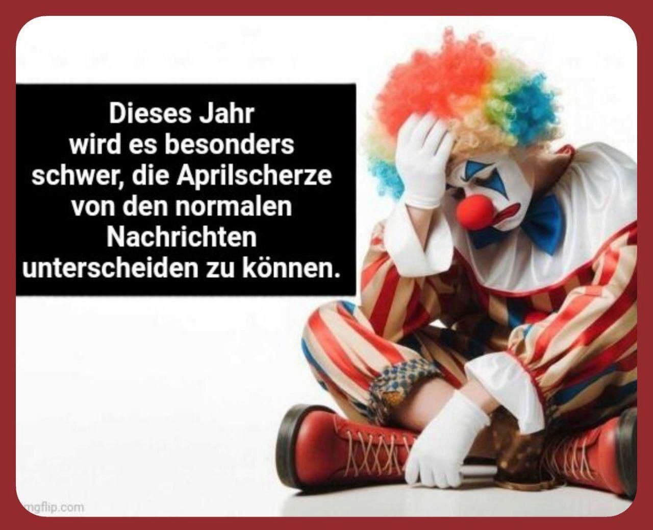 WhatsApp Image 2025-04-01 at 13.15.20.jpeg