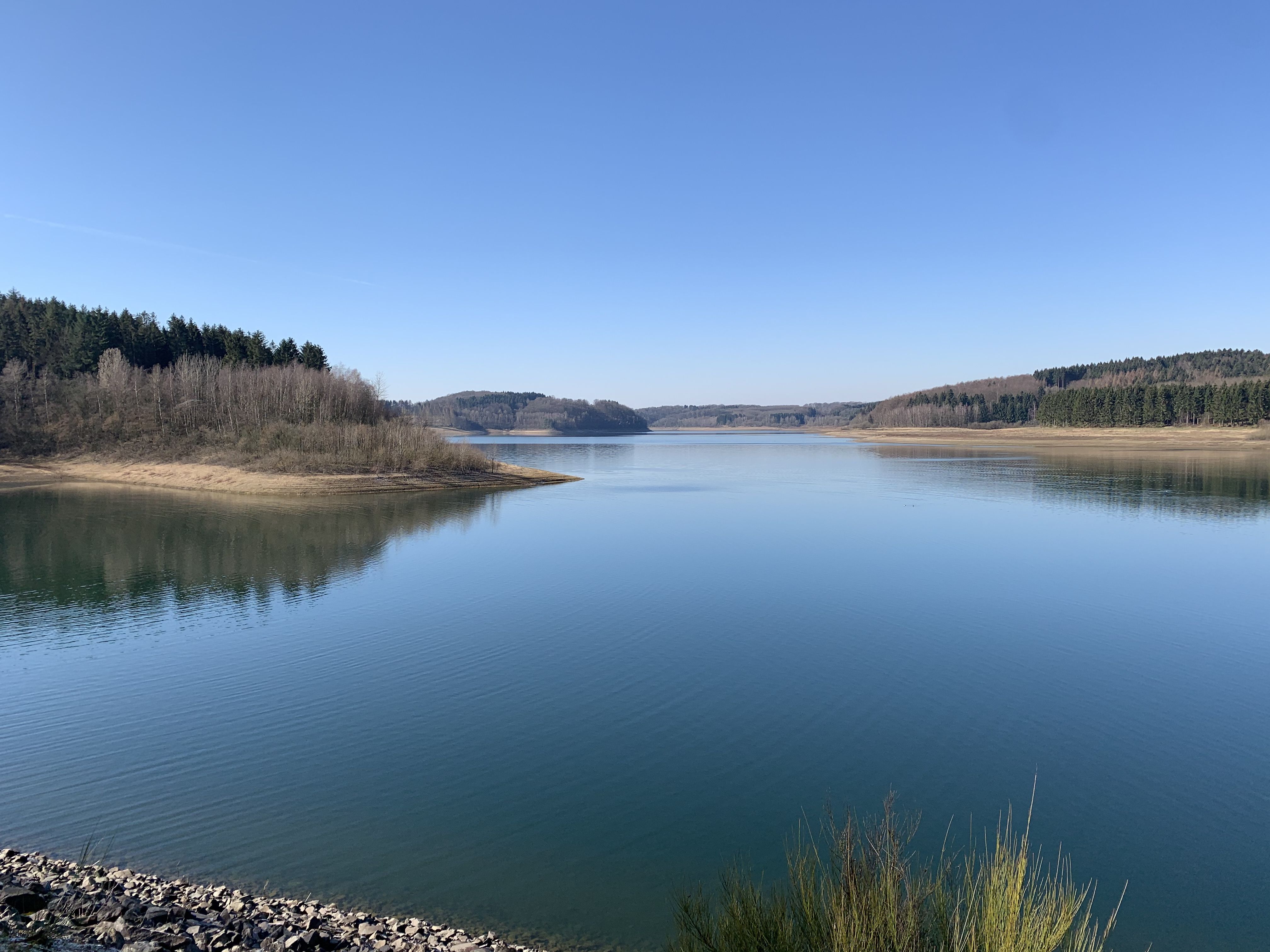 84B59672-C3D1-4A9B-8028-22C4E9D88711.jpeg