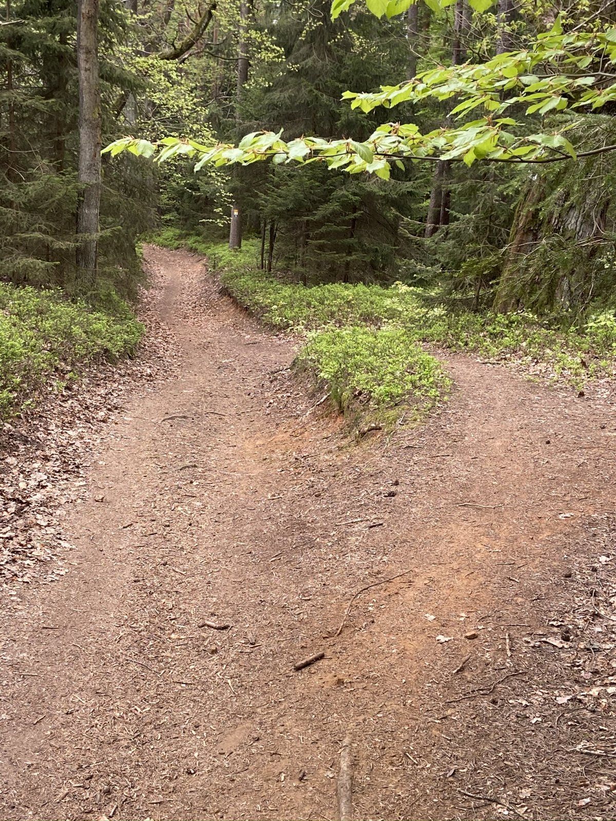 8F215423-DA55-40C9-AE73-AB35E7711349.jpeg
